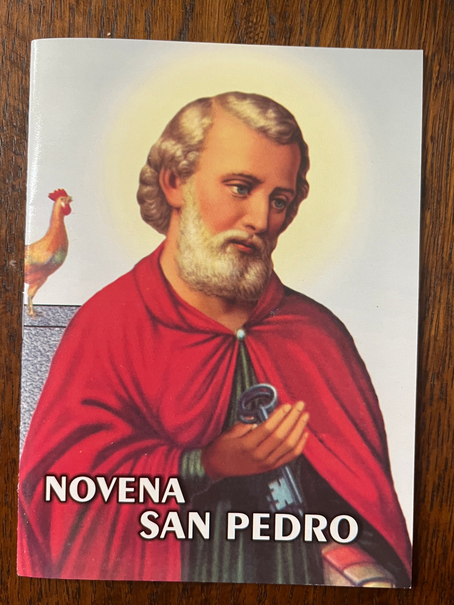 Novena en Honor de La Sombra de San Pedro