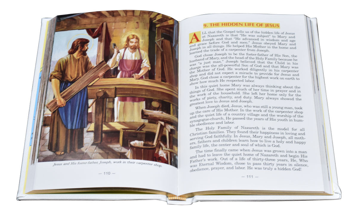 New Catholic Picture Bible Popular Stories From The Old And New Testaments