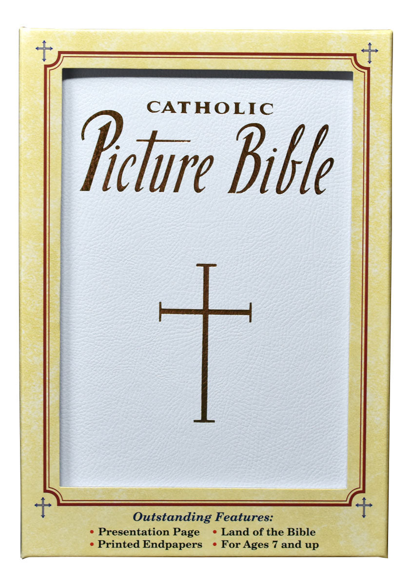 New Catholic Picture Bible Popular Stories From The Old And New Testaments