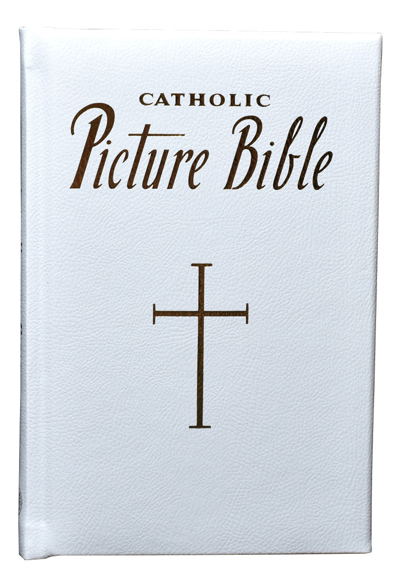 New Catholic Picture Bible Popular Stories From The Old And New Testaments