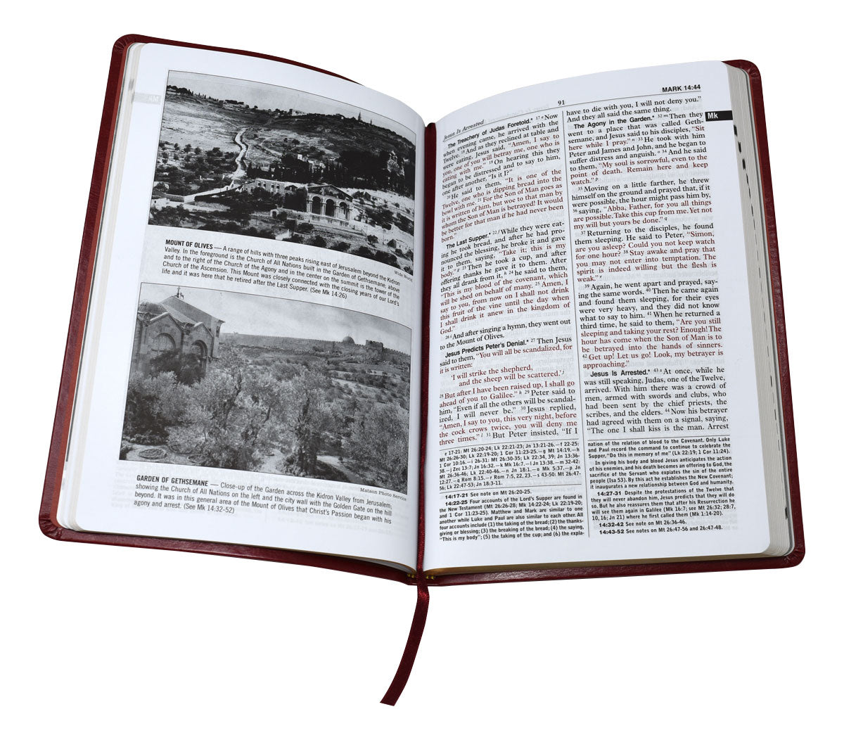 St. Joseph New Catholic Bible New Testament - Unique Catholic Gifts