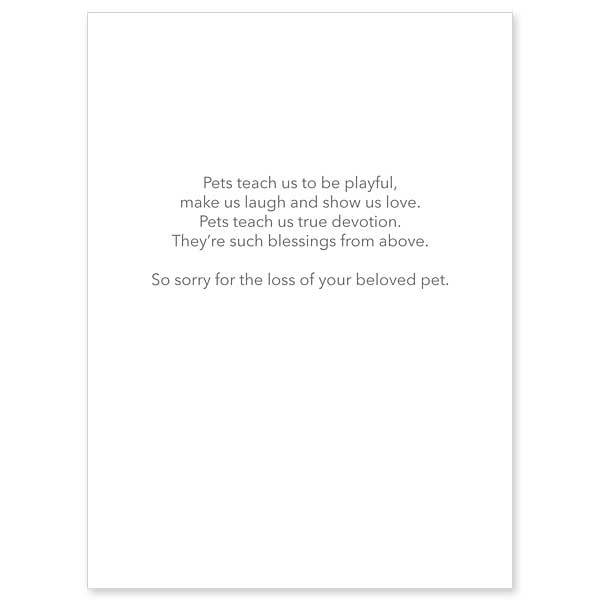 Our Pets Teach Us So Much General Pet Sympathy Card ( Size (in inches): 4.375 x 5.9375 ") - Unique Catholic Gifts