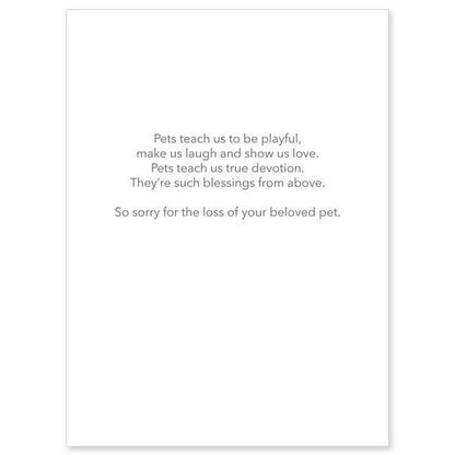 Our Pets Teach Us So Much General Pet Sympathy Card ( Size (in inches): 4.375 x 5.9375 ") - Unique Catholic Gifts