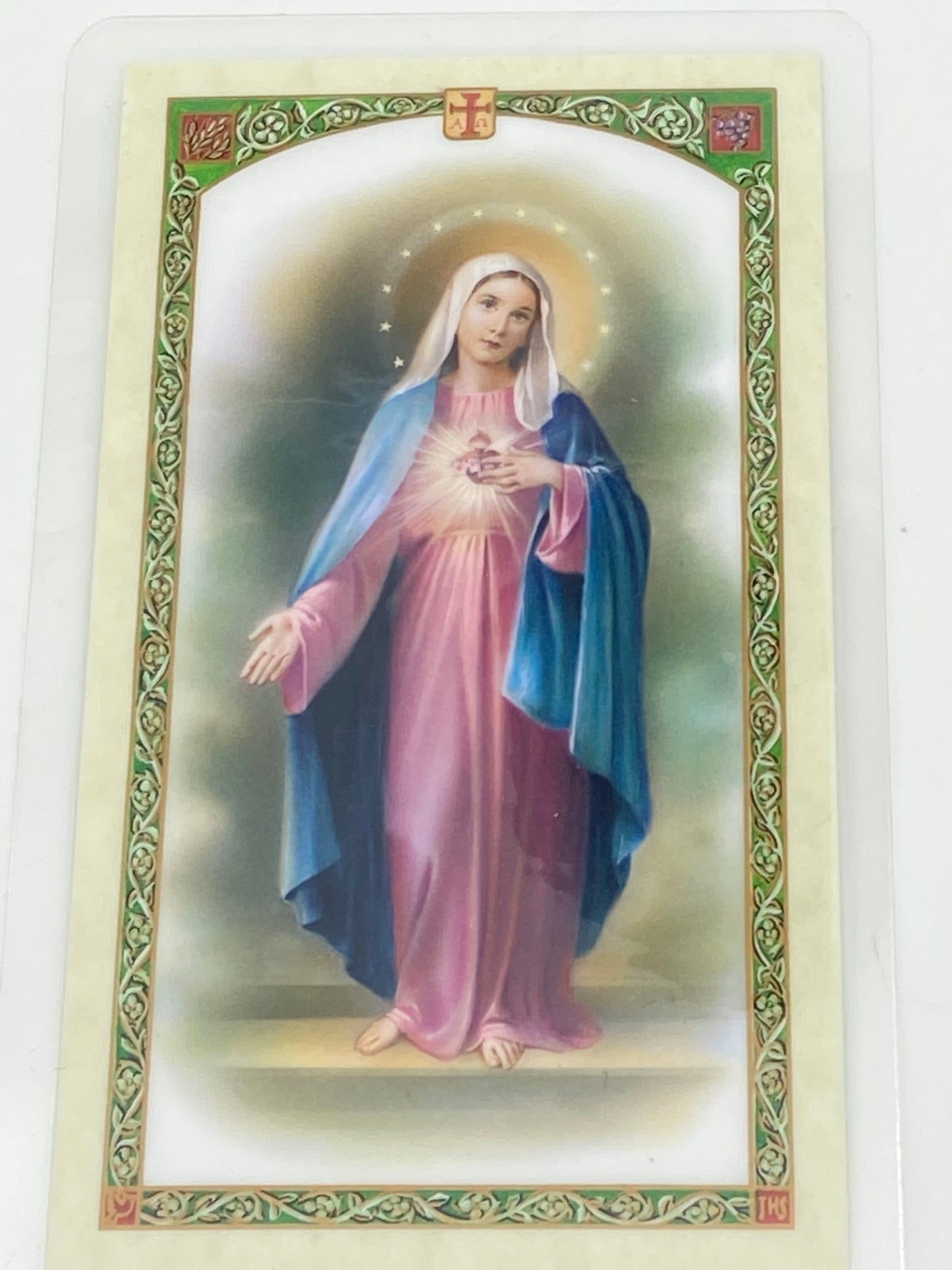 Hail Mary Laminated Holy Card (Plastic Covered) - Unique Catholic Gifts