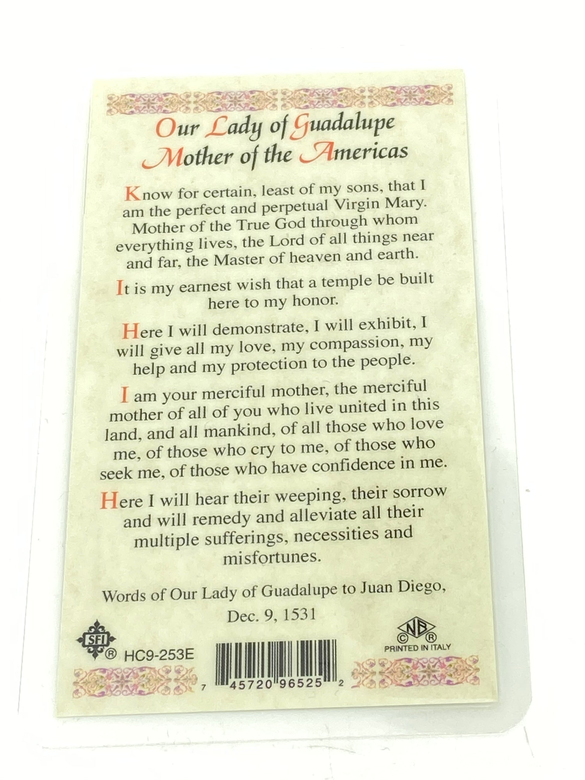 Our Lady of Guadalupe Mother of Americas Laminated Holy Card (Plastic Covered) - Unique Catholic Gifts