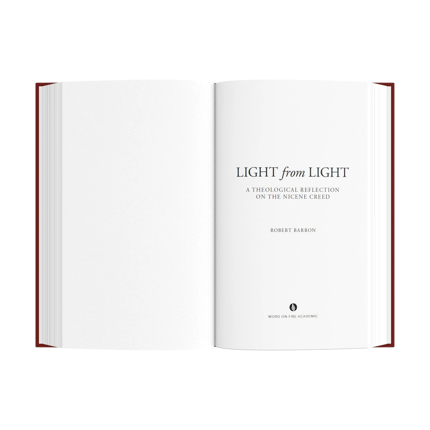 Light from Light: A Theological Reflection on the Nicene Creed By Robert Barron - Unique Catholic Gifts