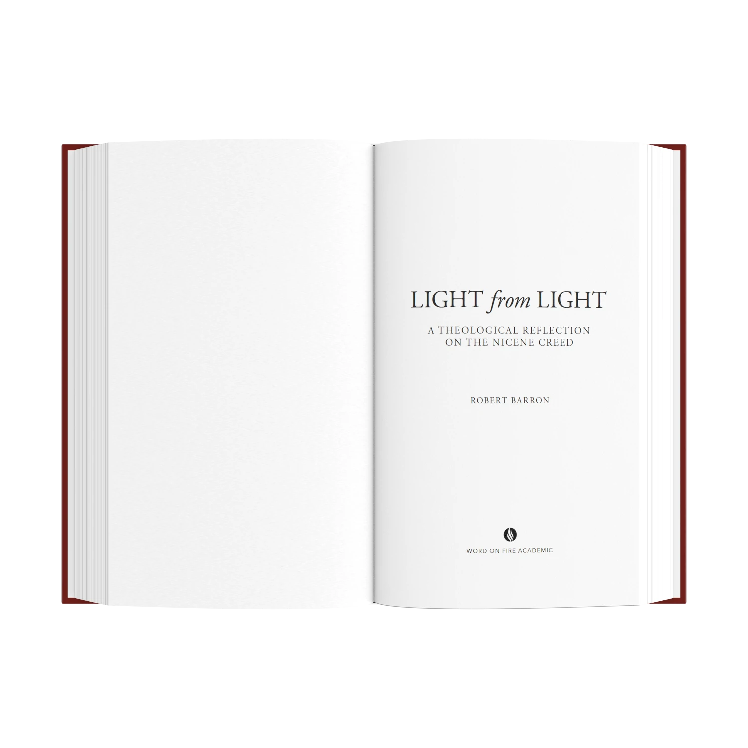 Light from Light: A Theological Reflection on the Nicene Creed By Robert Barron - Unique Catholic Gifts