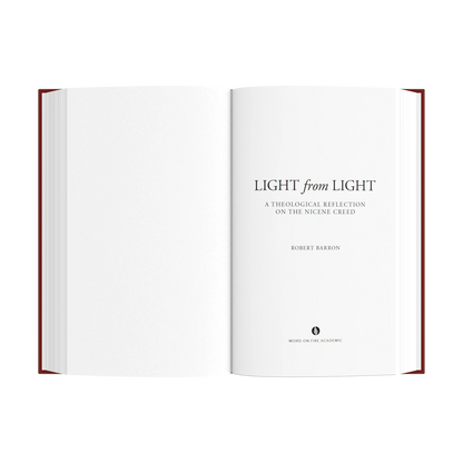 Light from Light: A Theological Reflection on the Nicene Creed By Robert Barron - Unique Catholic Gifts