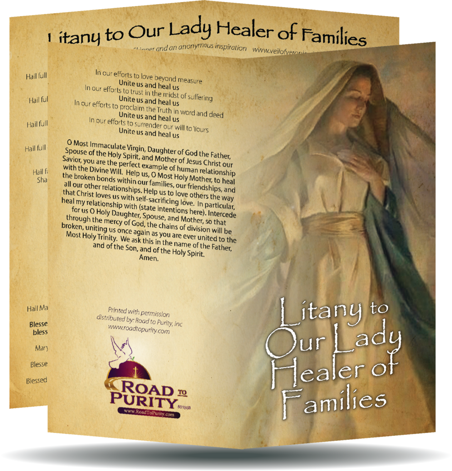 Litany to Our Lady Healer of Families Holy Card - Unique Catholic Gifts