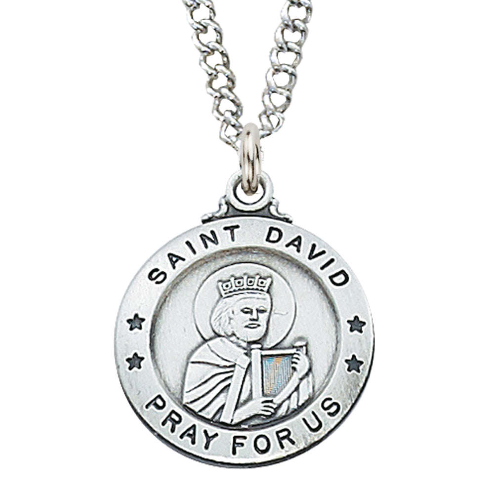 (L600dv) Sterling Silver St. David 20" Chain & Box - Unique Catholic Gifts