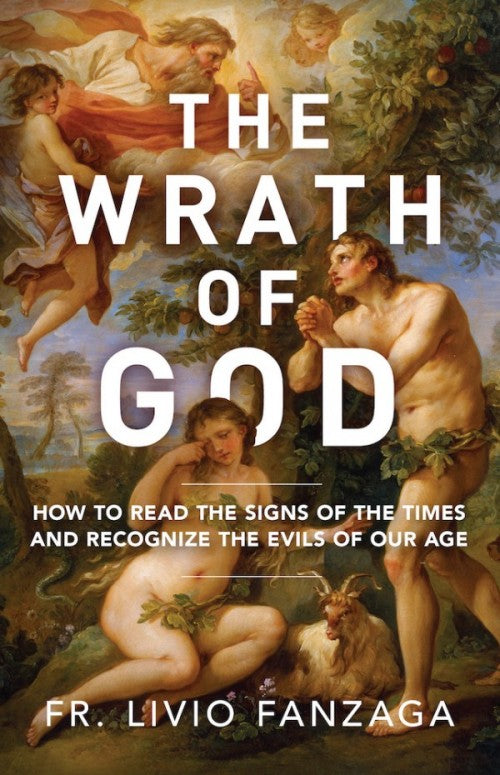 The Wrath of God How to Read the Signs of the Times and Recognize the Evils of Our Age by Fr. Livio Fanzaga - Unique Catholic Gifts